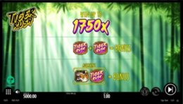 Tiger Rush 1 e1543843107752