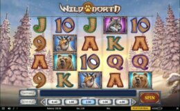 Wild North 1 e1543931148673