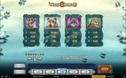 Wild North 2 e1543931162278