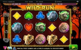 Wild Run 1 1 e1543932959578