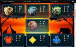 Wild Run 2 1 e1543932968530