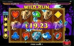 Wild Run 3B e1543932977569