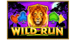 Wild Run Logo