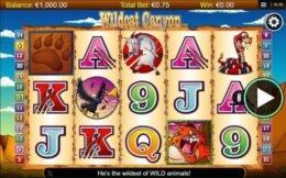 Wildcat Canyon 1 e1545916673264