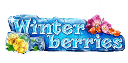 Winter Berries Logo