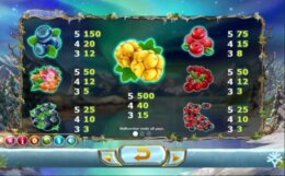 Winterberries 2 e1542715158969