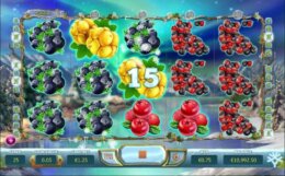 Winterberries 3 e1542715166148